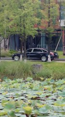 王槿最新章节：野火撩过姐姐心（下篇）🔥