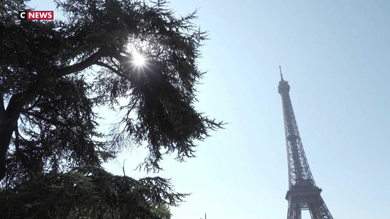 Canicule : face aux fortes chaleurs, les touristes s’adaptent à Paris