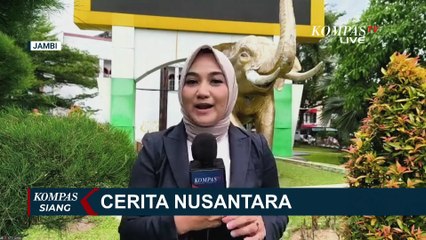 Meriahkan HUT ke-80 RI, Jambi Gelar Festival Layang-Layang Perdana di Pantai Aurduri | KOMPAS SIANG