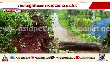 പൊട്ടിവീണ വൈദ്യുതി ലൈനില്‍ നിന്ന് ഷോക്കേറ്റു; വടകരയില്‍ വീട്ടമ്മയ്ക്ക് ദാരുണാന്ത്യം