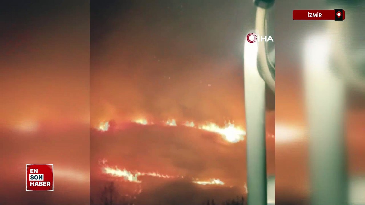 İzmir'de makilik ve ormanlık alanda yangın