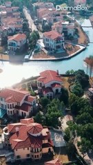 Small bird in the forest