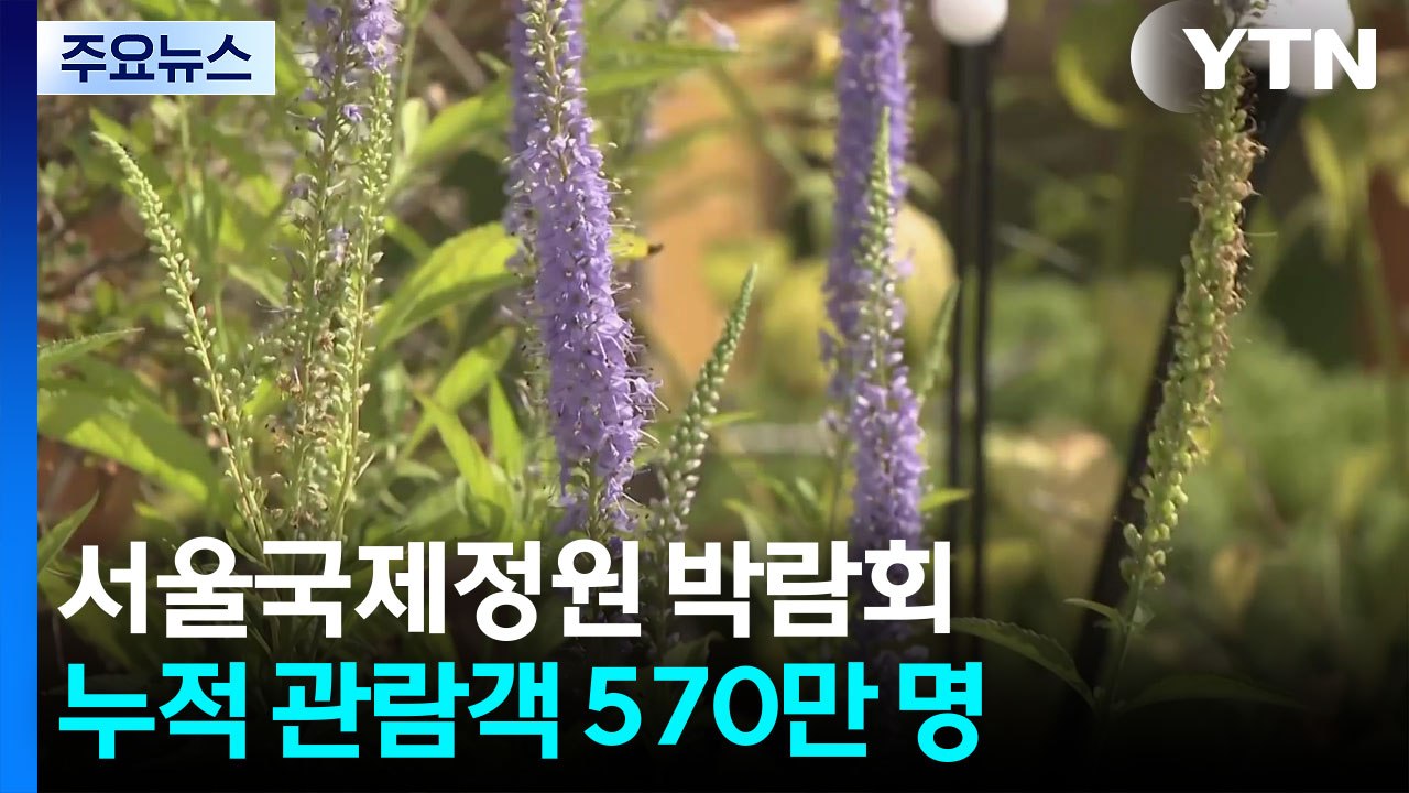 무더위 잊은 도심 속 정원...관람객 570만 명 넘어 / YTN