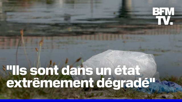 Comment expliquer que les quatre corps retrouvés dans la Seine aient été repêchés au même endroit