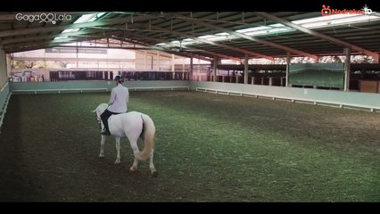 ( INDO SUB ) MY TOOTH YOUR LOVE EPS 12 END