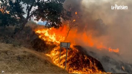 Le Portugal et l’Espagne frappés par une vague d’incendies meurtriers