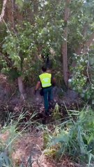 Dispositivo búsqueda desaparecido en Camporredondo de Valladolid