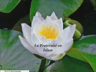 La fraternité en islam par le Pr Hani Ramadan