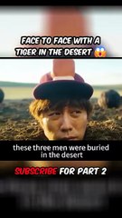 shorts movie explanation Face to face with a tiger in the desert