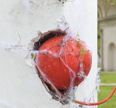 Turning Wall Damage into Urban Masterpieces