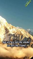 They tried to bury us under rubble and silence #echoquotes #motivation  #gaza