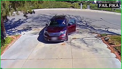 Best Fails of the Week 😂 Chaos Caught on Camera