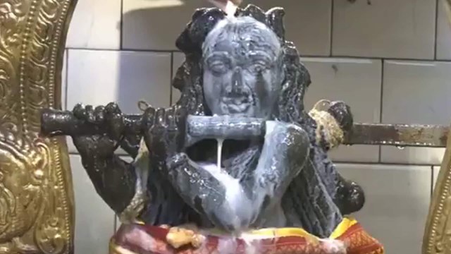 Krishna Janmashtami Celebrated with Special Rituals at Sri Venugopala Krishna Temple, Trichy