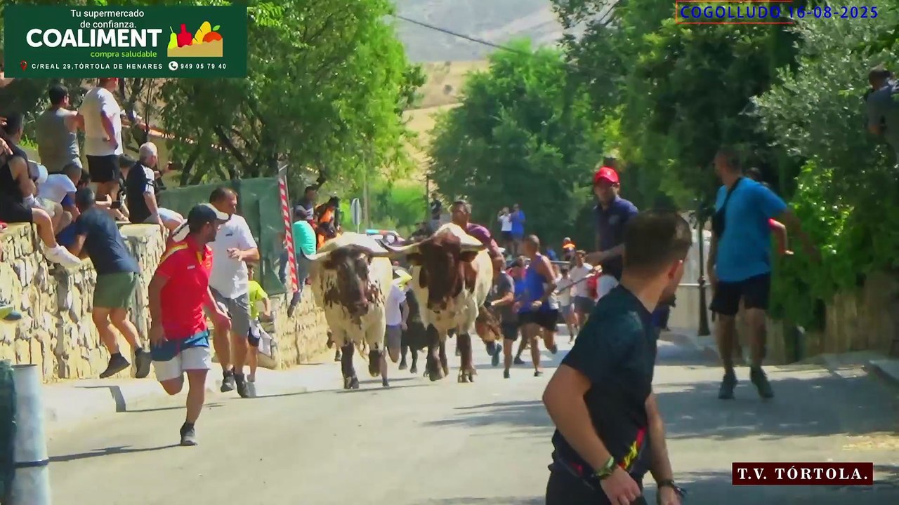 Encierro Cogolludo 16-08-2025