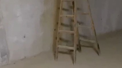 Strange scene unfolds as ladder slowly moves and falls without anyone touching it