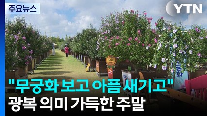 "무궁화 보고 아픔 새기고"...광복 의미 가득한 주말 / YTN