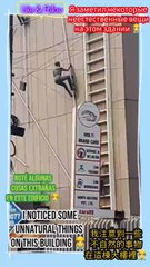 🏙️ Where unexpected hides in plain view!  #Viral #Trending #CityMysteries #UrbanAdventure