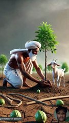 The snake bites the farmer's cow, then the pigeon goes to the landlord 😭 #ai #farmer #pigeon #cow