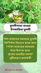 তুলসী পাতা খাওয়ার উপকারিতা Learning Time BD