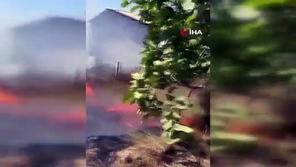 Kocaeli'nde bir yangın daha: Köyde çıkan yangın paniğe yol açtı