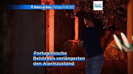 Menschen sterben an Verbrennungen: Waldbrände wüten in Südeuropa