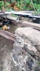 pilih paku yg masih bisa dipakai