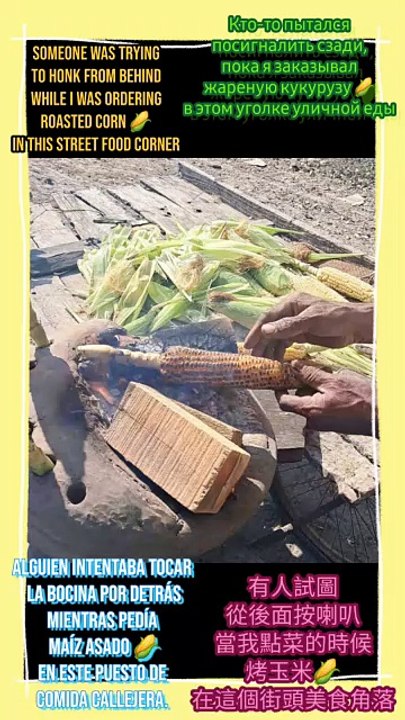 embracing rustic charm and simple joys!  #Viral #Trending #TravelDiaries #VillageLife