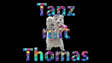 "Pfote hoch, Tanz mit Thomas!"