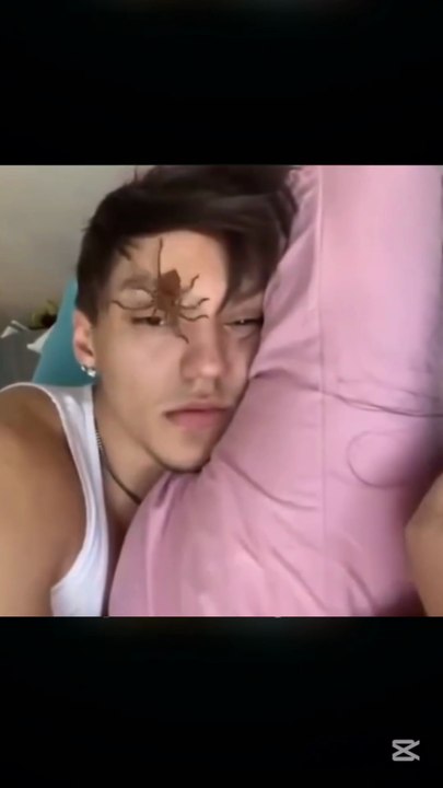 Sleeping People Pranked! Hilarious Wake-Up Reactions You Can’t Miss