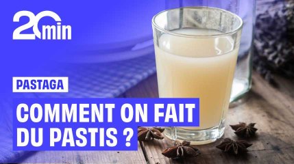 Comment on fait du pastis ?