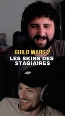 Y a pas que des beaux skins dans Guild Wars 2 😂 #guildwars2 #gw2 #online #gaming #mmorpg