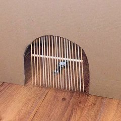A thief won’t see this coming!