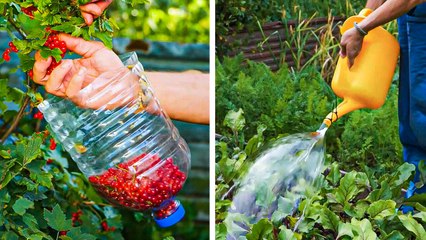 DIY Gardening Tools & Hacks to Transform Your Garden