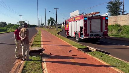 Cachorrinha presa em bueiro na Região Norte de Cascavel é salva pelo Corpo de Bombeiros