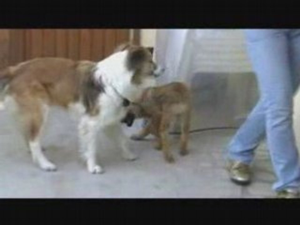 Cly et dusty