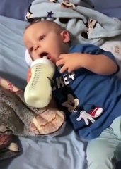 VÍDEO: Bebê encanta web ao se revezar entre tomar mamadeira e chupar chupeta