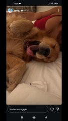 Fedez silvio sodisfatto