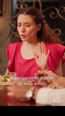 Contrato del Bebé del mi CEO en Español