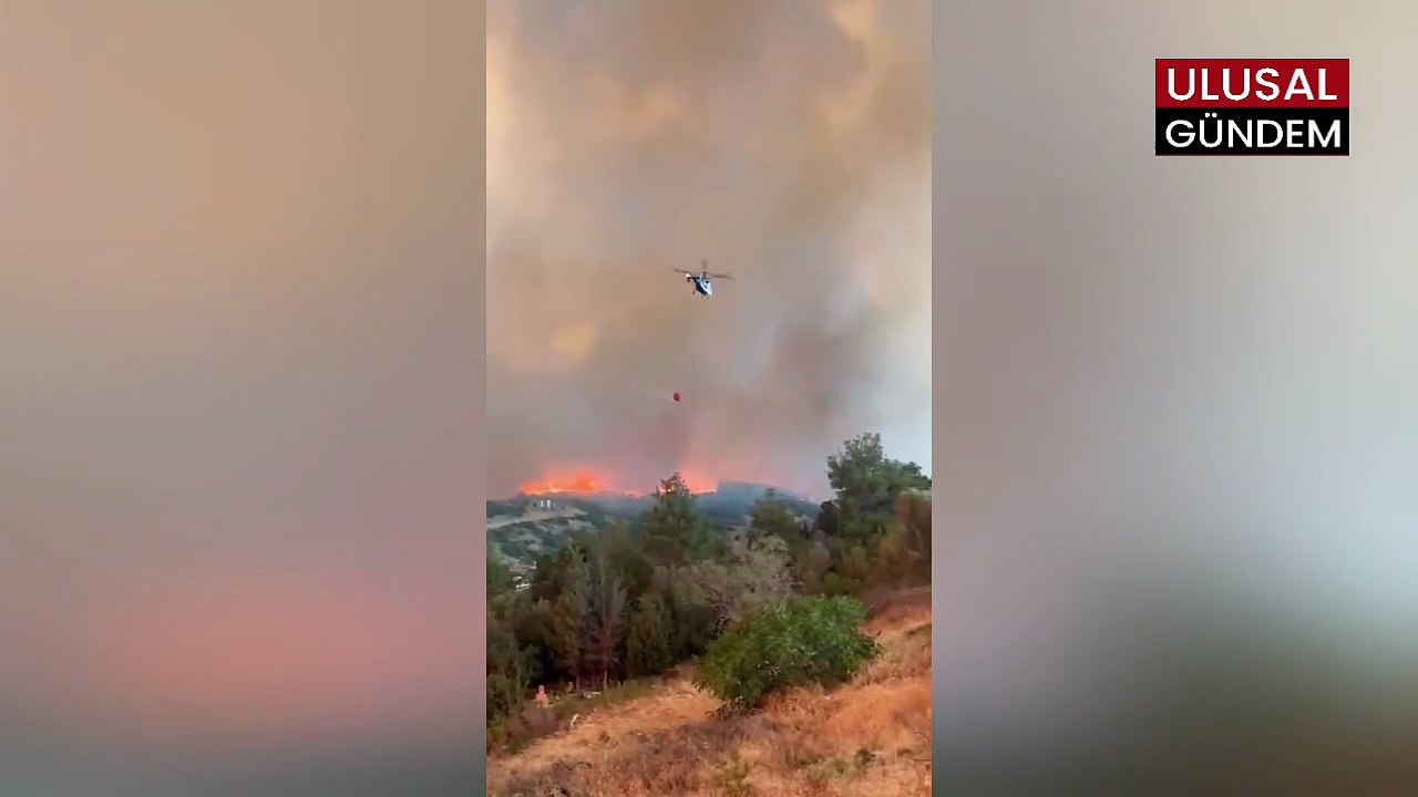 Çanakkale Gelibolu’da orman yangını