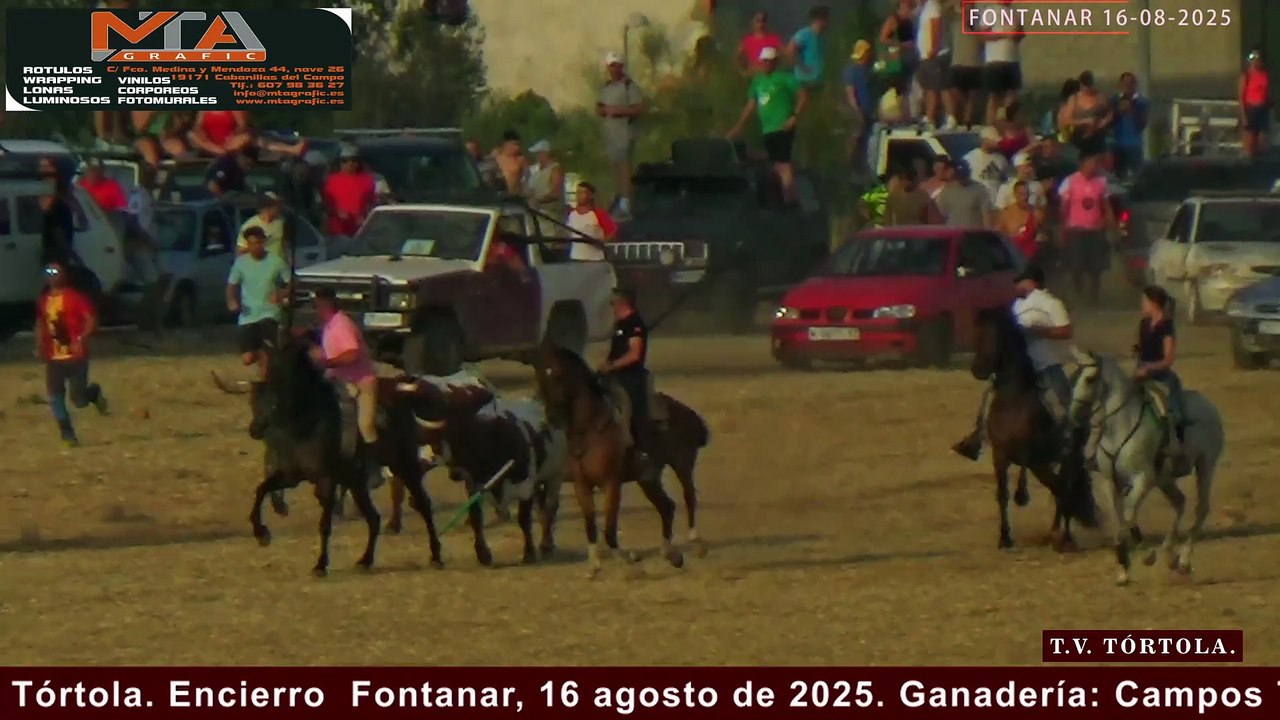 Encierro Fontanar Toro José Escolar 16-08-2025