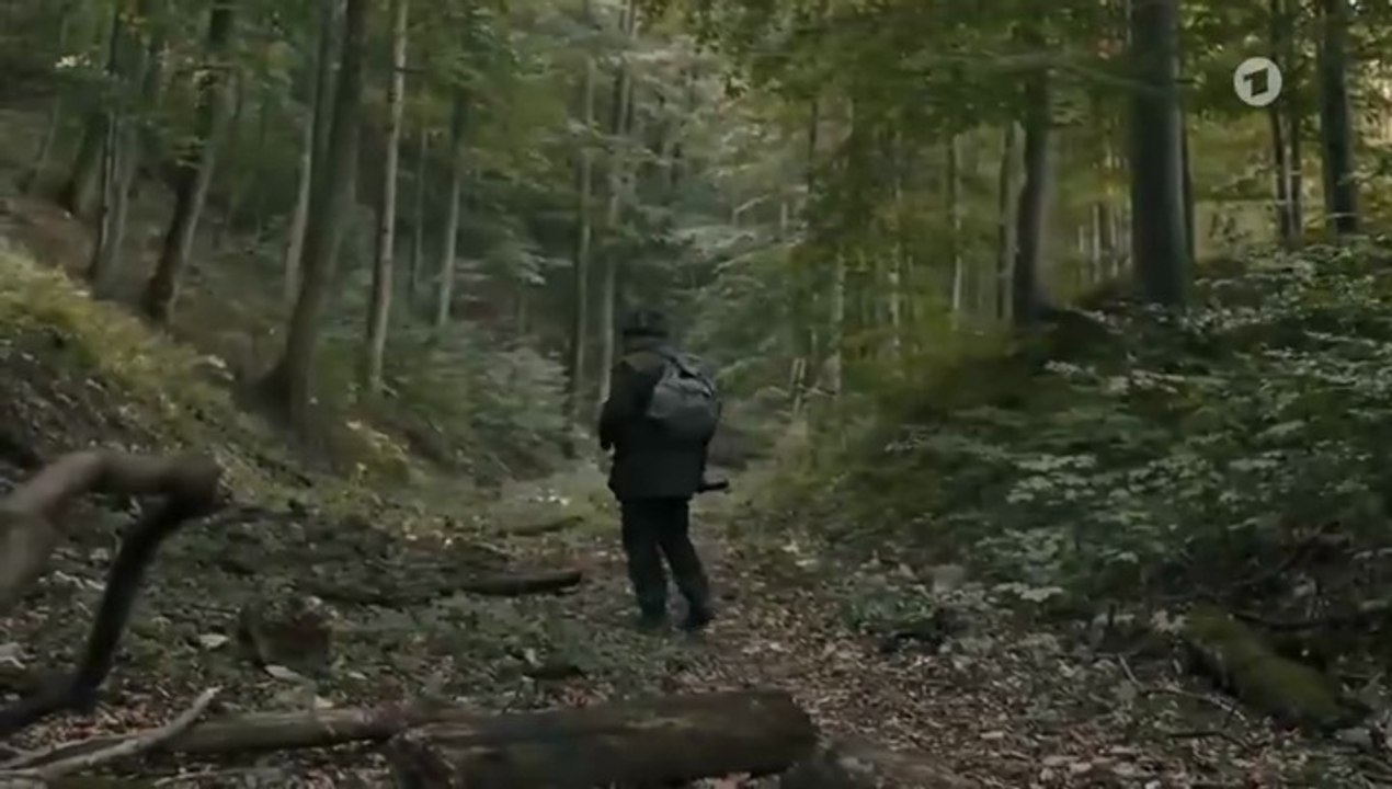 Die Bestatterin - Der Tod zahlt alle Schulden