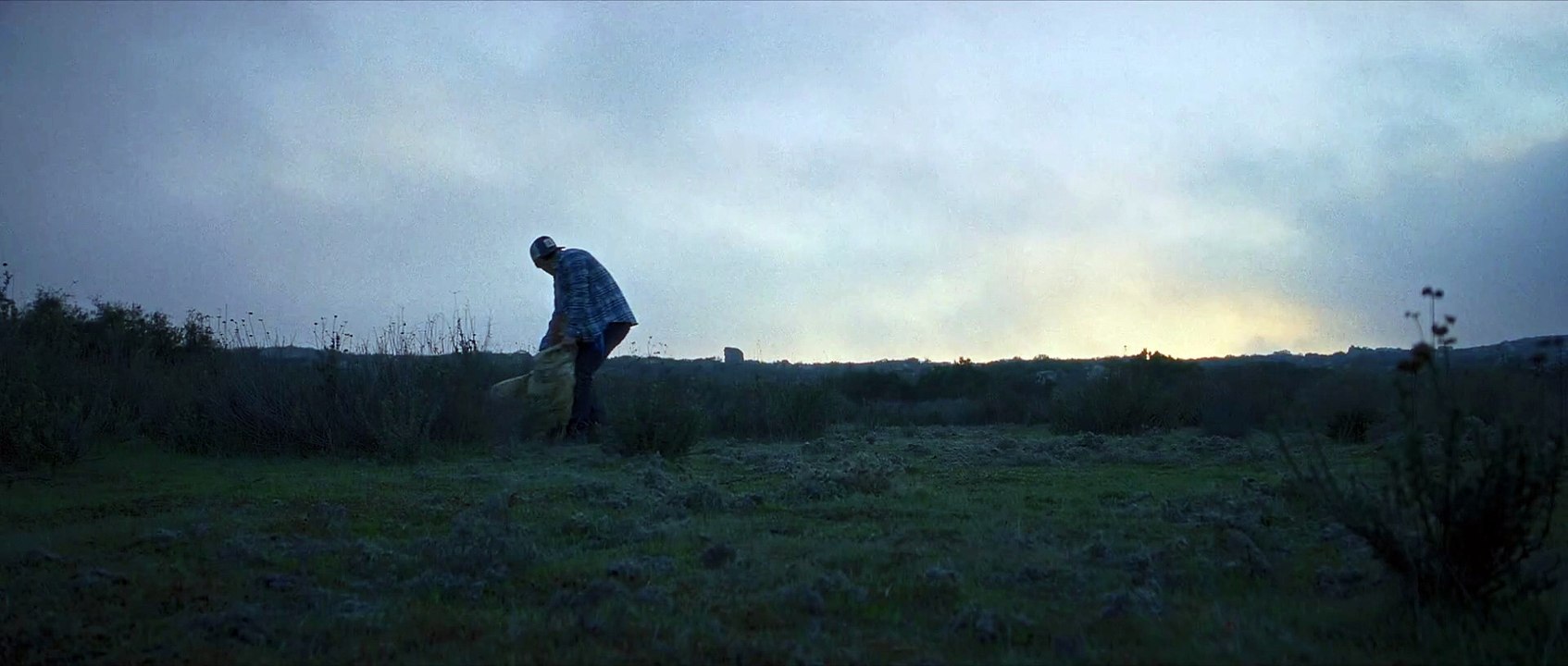 Los gorriones vuelan de noche | movie | 2025 | Official Teaser