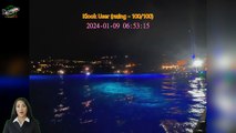 Review Hawaii Big Island Manta Ray Night Snorkel Experience