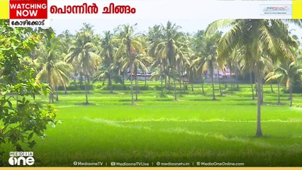 ഇന്ന് ചിങ്ങം ഒന്ന്; പൊന്നിൻചിങ്ങത്തെ കണികണ്ട് പുതുവർഷത്തിലേക്ക് പ്രവേശിച്ച് ഒരോ കർഷകനും