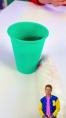 Why Are Cats So Mean?! 😾😂 #funny