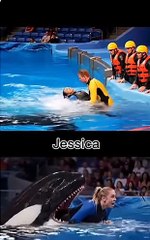 jessica last moments clip.....#jessica #dolfin #shortvideo #viralvideo