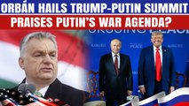 ‘World Is Safer Now’ Viktor Orban’s SHOCKING Stance On Trump-Putin Alaska Summit | Sides with Moscow