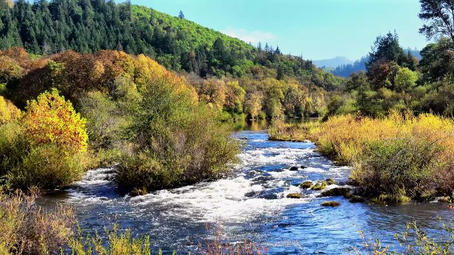 Natural Scenery In The Form Of A River Flowing Between Forests And Trees With Autumn Colors.