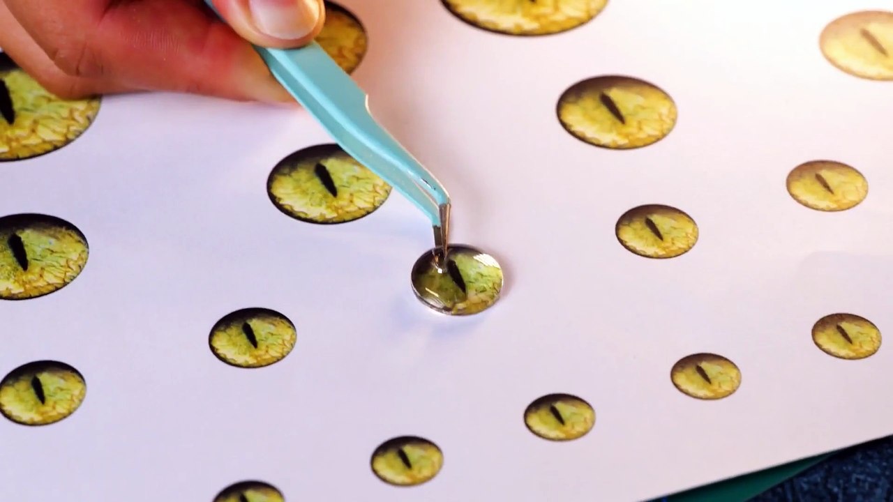 Purr-fectly Adorable! Cat Collar That’ll Make Your Kitty the Star 🌟😻