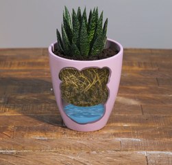 ASTUCES DE JARDINAGE : Conseils pour maximiser votre espace et votre rendement !